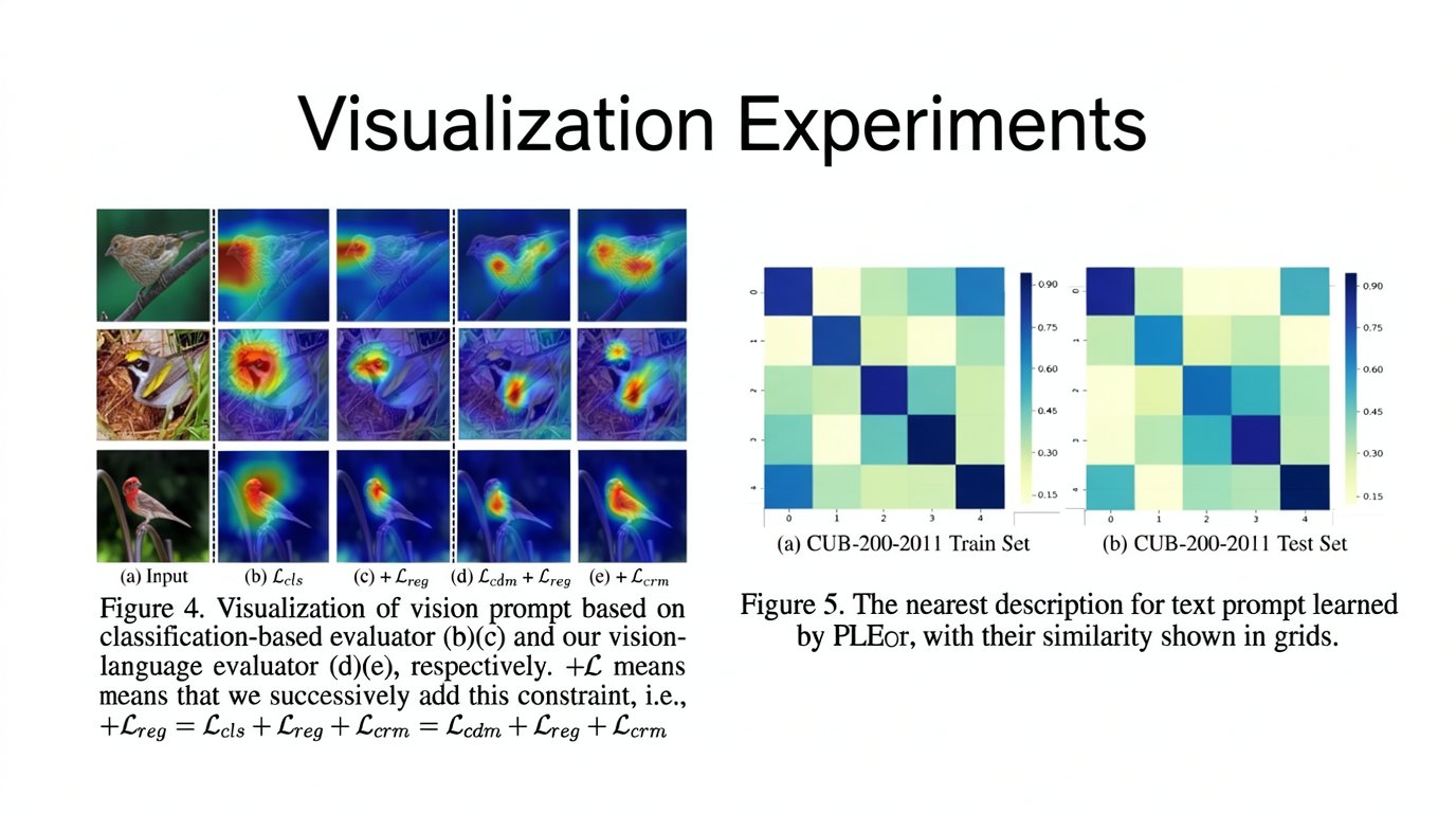 Visualization Experiments